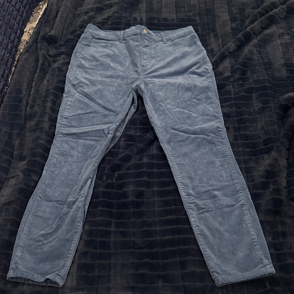 LOFT Blue Corduroy skinny pants size 30/10